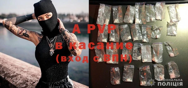 прущие грибы Арсеньев