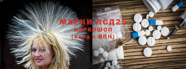 ГАЛЛЮЦИНОГЕННЫЕ ГРИБЫ Баксан