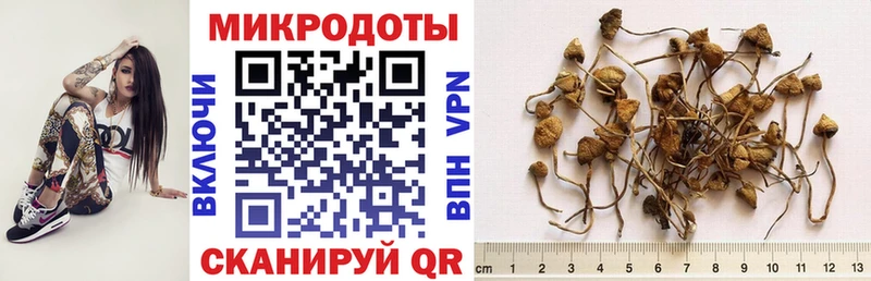 мориарти клад  хочу наркоту  Сосновка  Галлюциногенные грибы мицелий 