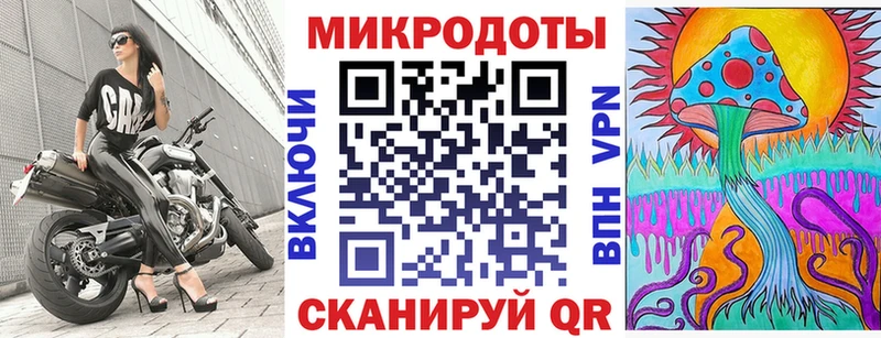 Галлюциногенные грибы Psilocybine cubensis Сосновка